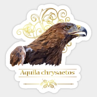 Golden Eagle Sticker